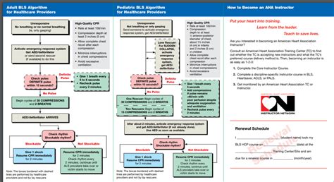 csphr review|*FREE* 2024 CPR, BLS, ACLS, PALS, Study Guide & Practice .